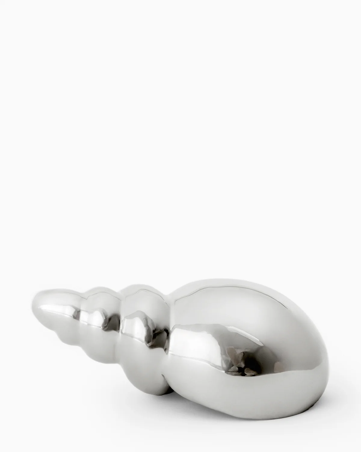 Tulip Shell - Image 2