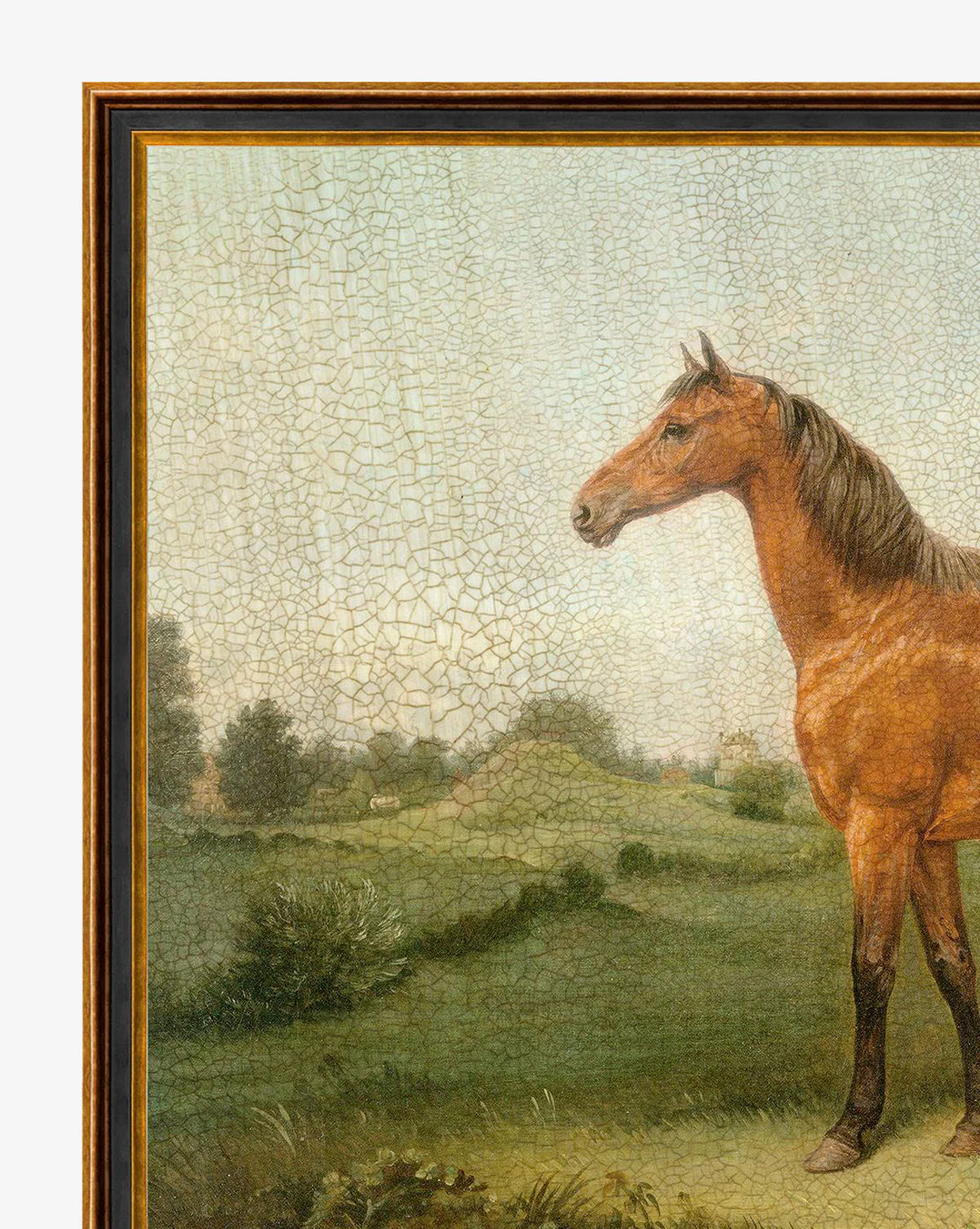 Brown Horse - Image 2