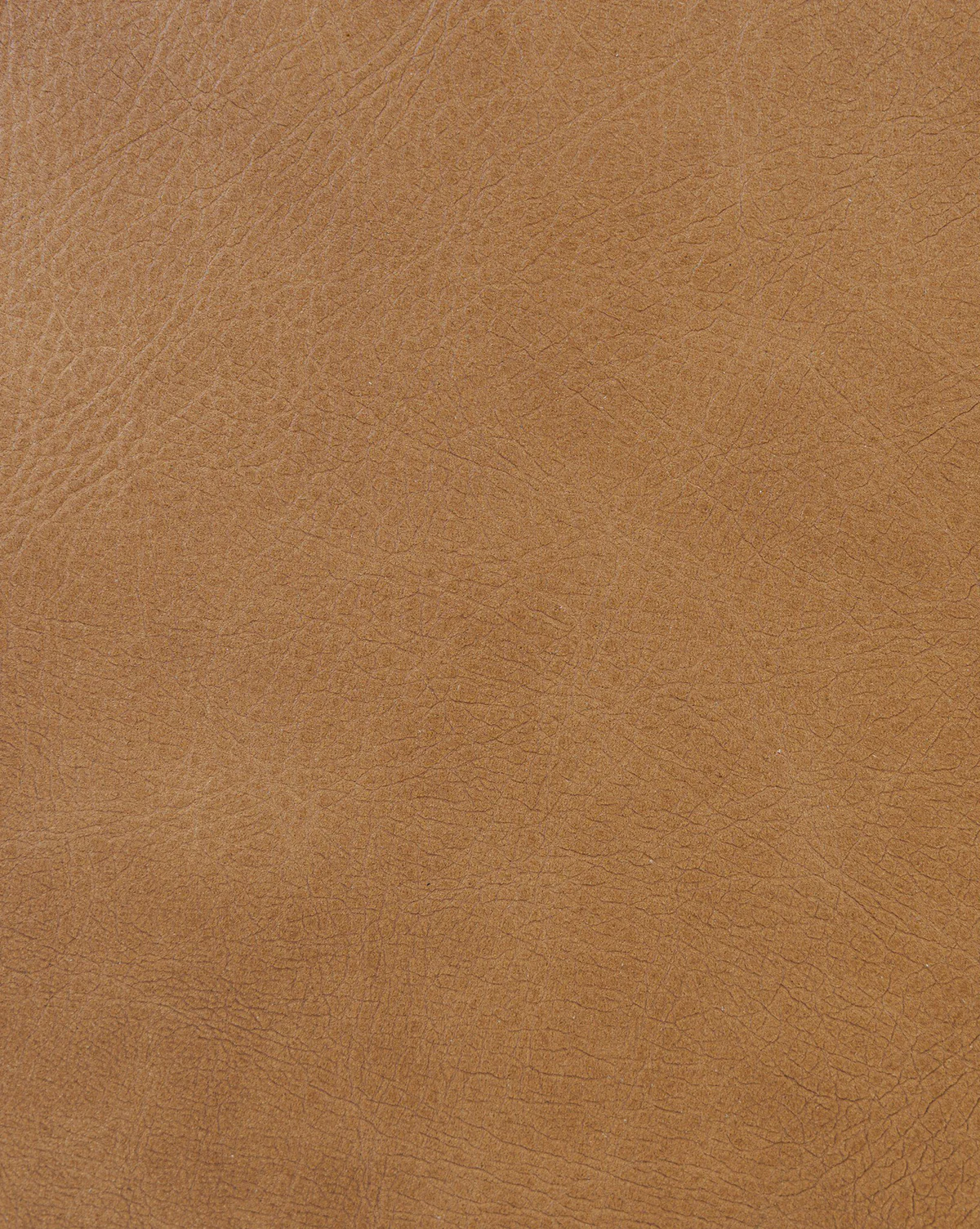 Carolina Leather Upholstered Bed - Image 10
