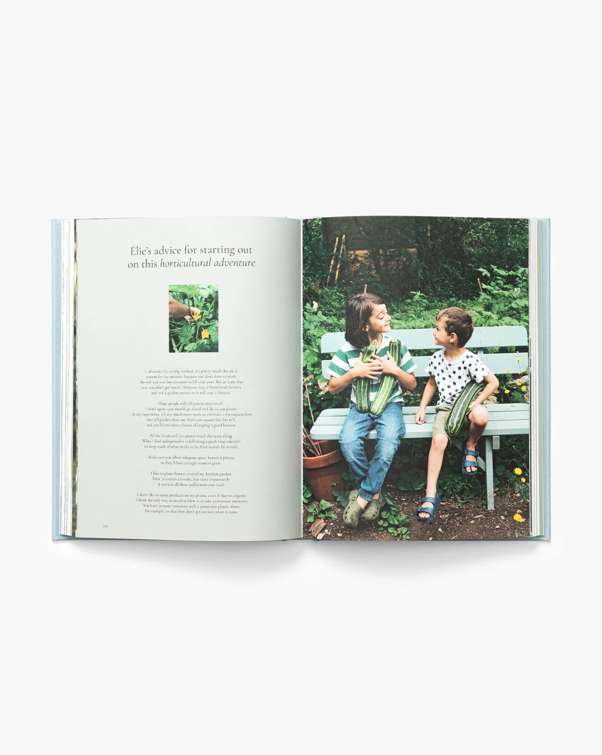 Coming Home to Nature: The French Art of Countryfication - Image 2