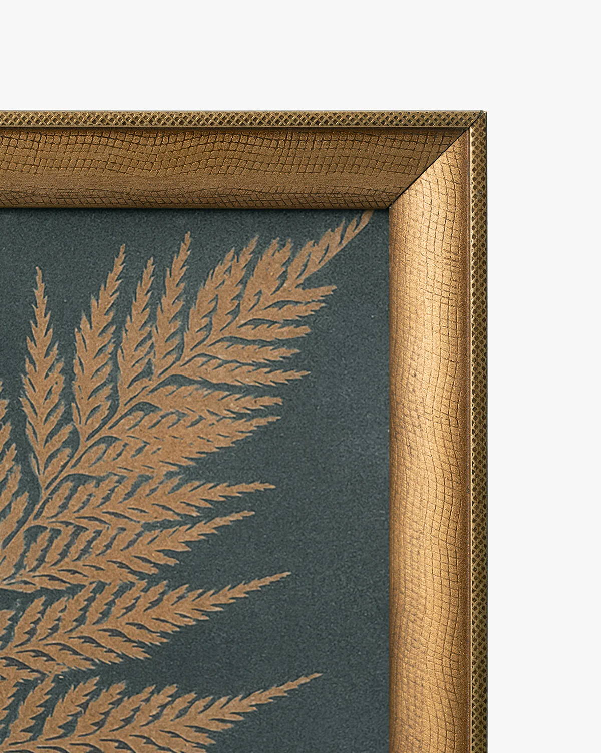 Copper Botanical 3 - Image 2
