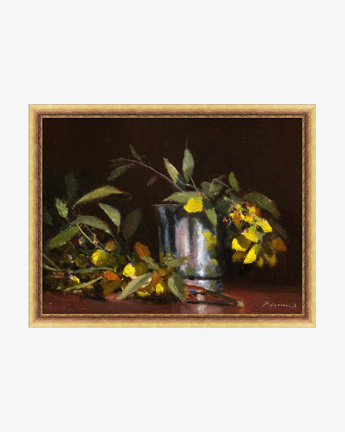 Cytise Blossoms
