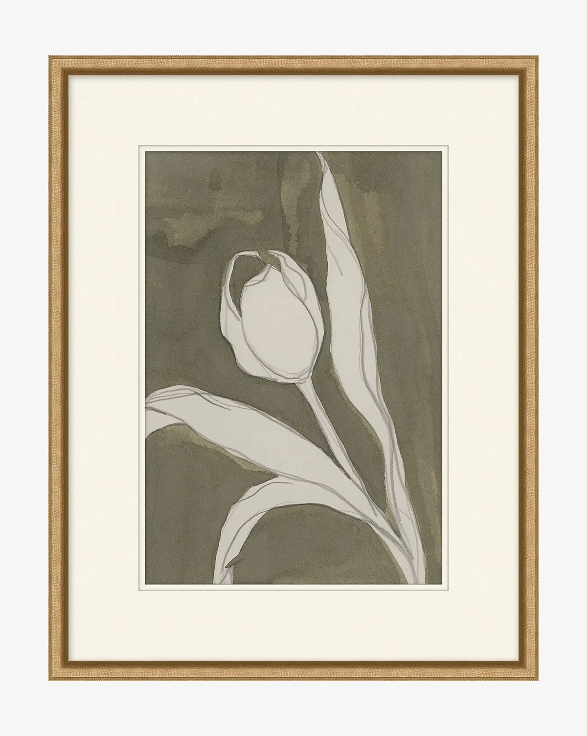 Delicate Tulip I by Rebekah Webb