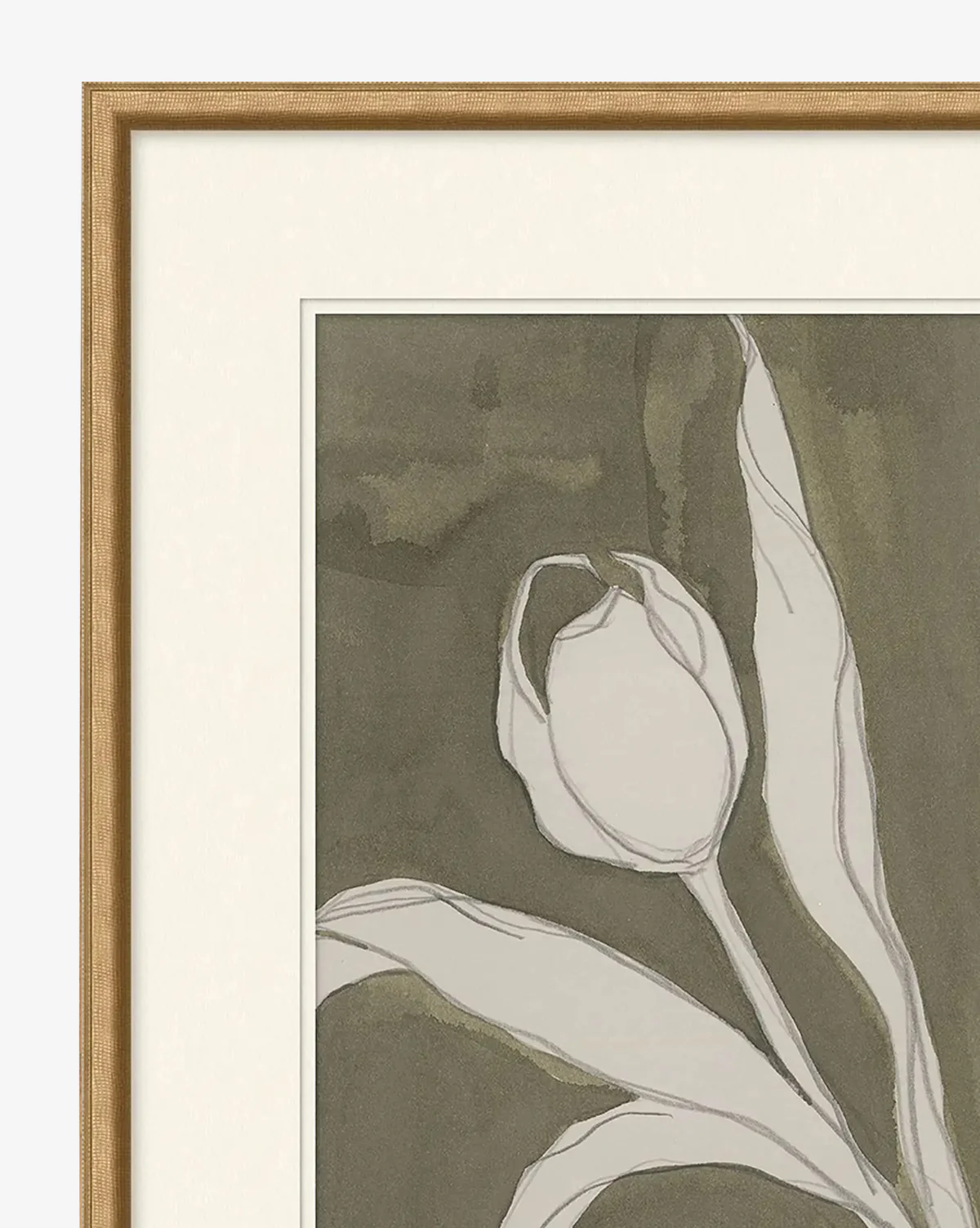 Delicate Tulip I by Rebekah Webb - Image 2