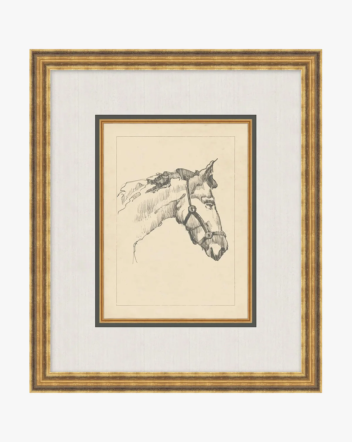 Equine Lines 1
