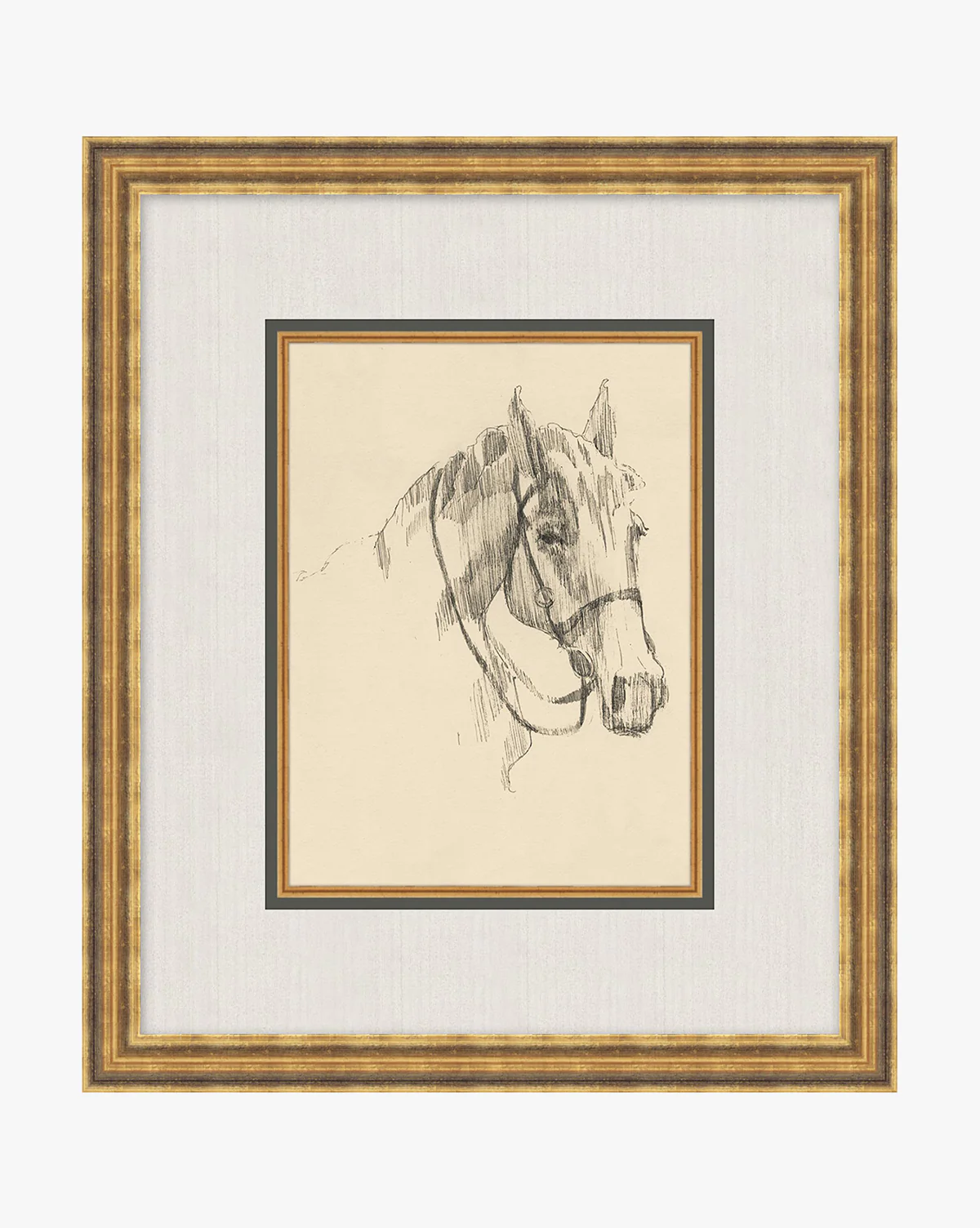 Equine Lines 3