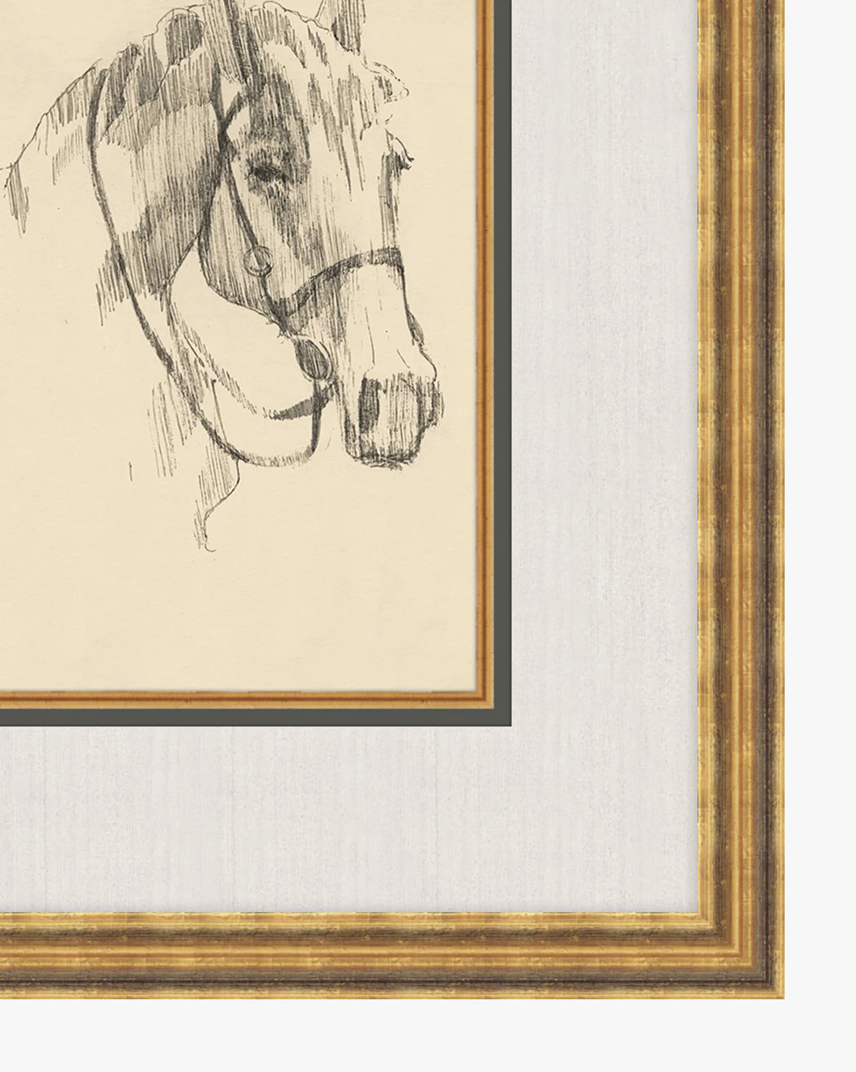 Equine Lines 3 - Image 2