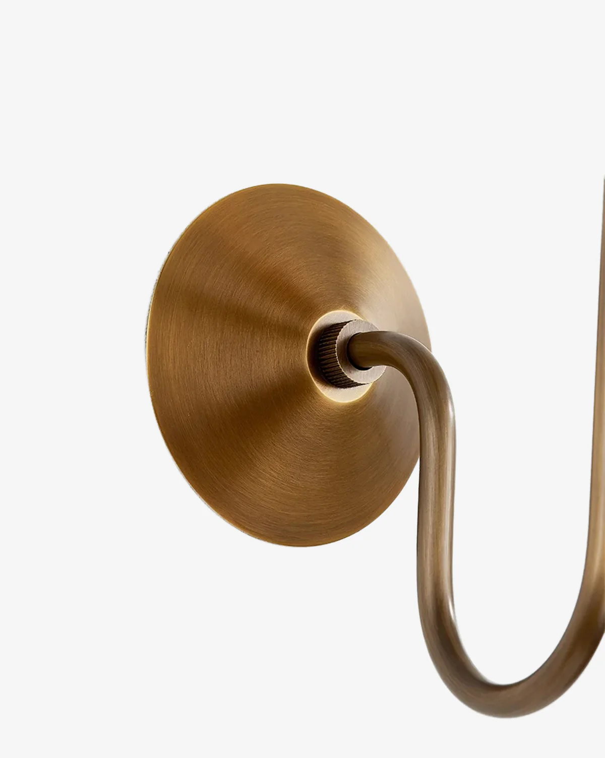 Evan Sconce - Image 3