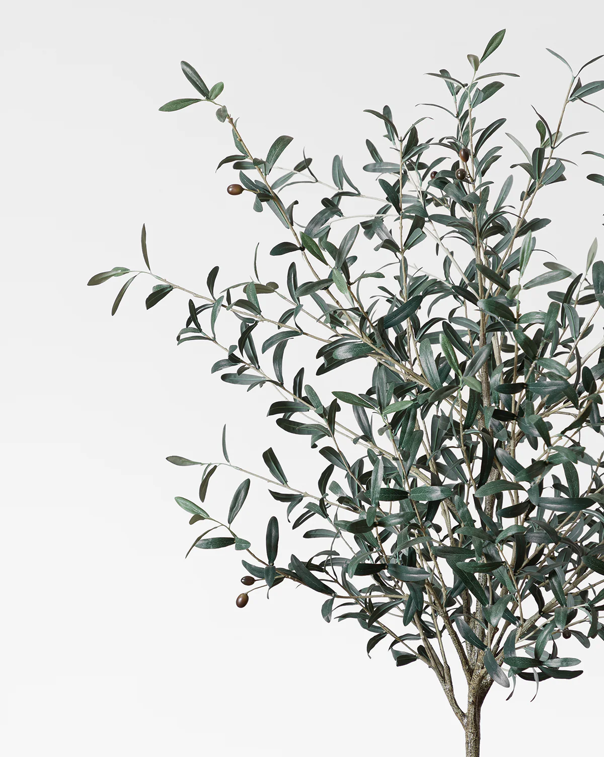 Faux 72" Olive Tree with Ceramic Pot - Image 3