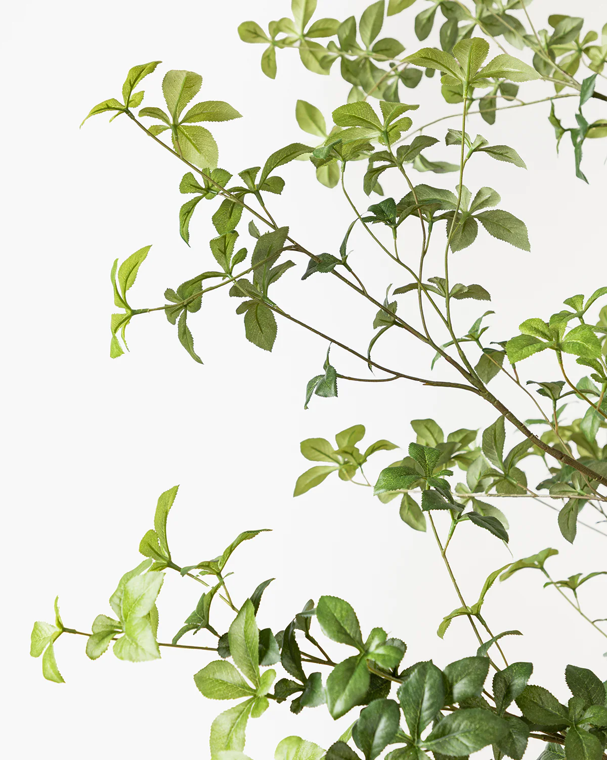 Faux Japanese Quince Tree - Image 3