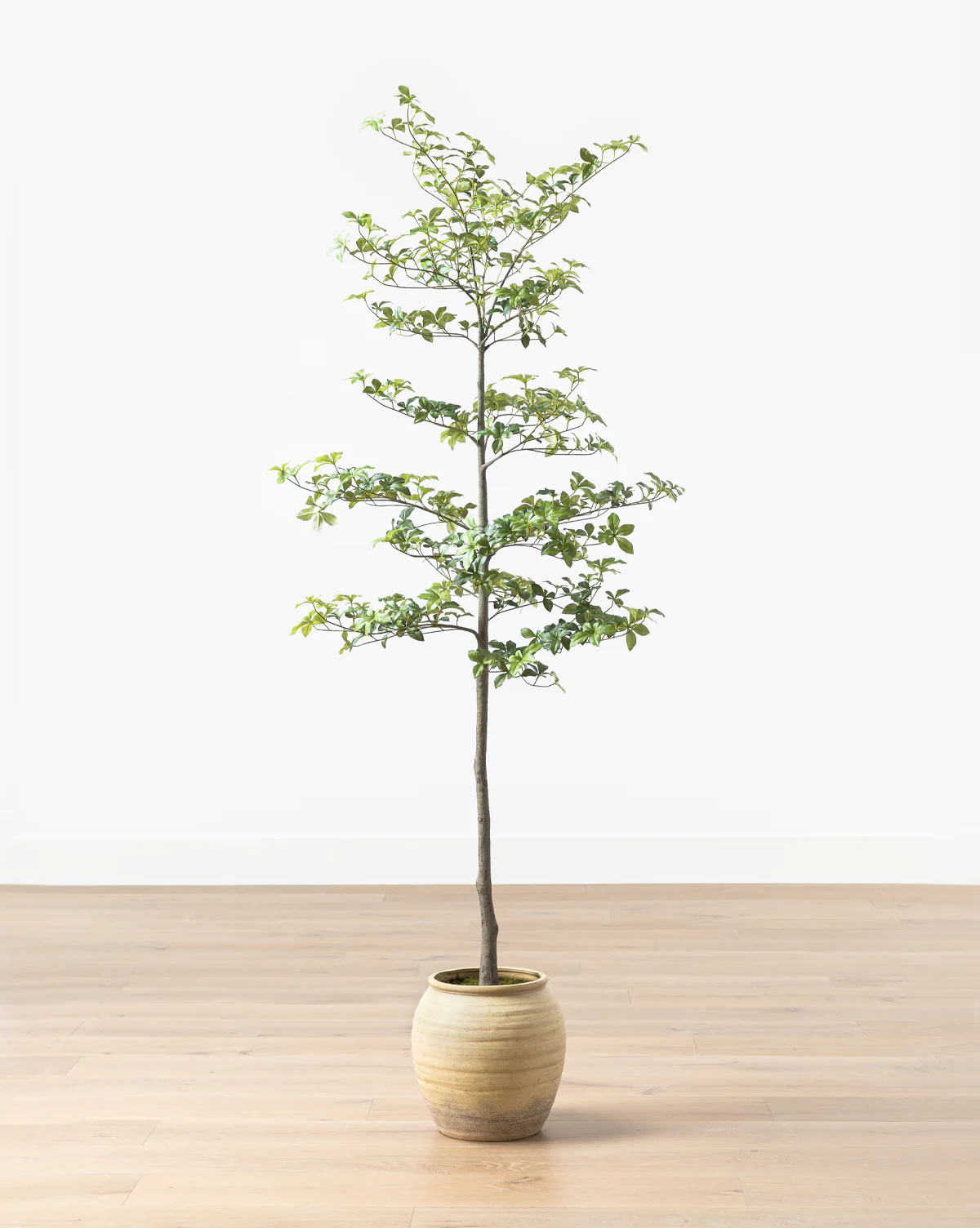 Faux Japanese Quince Tree - Image 6