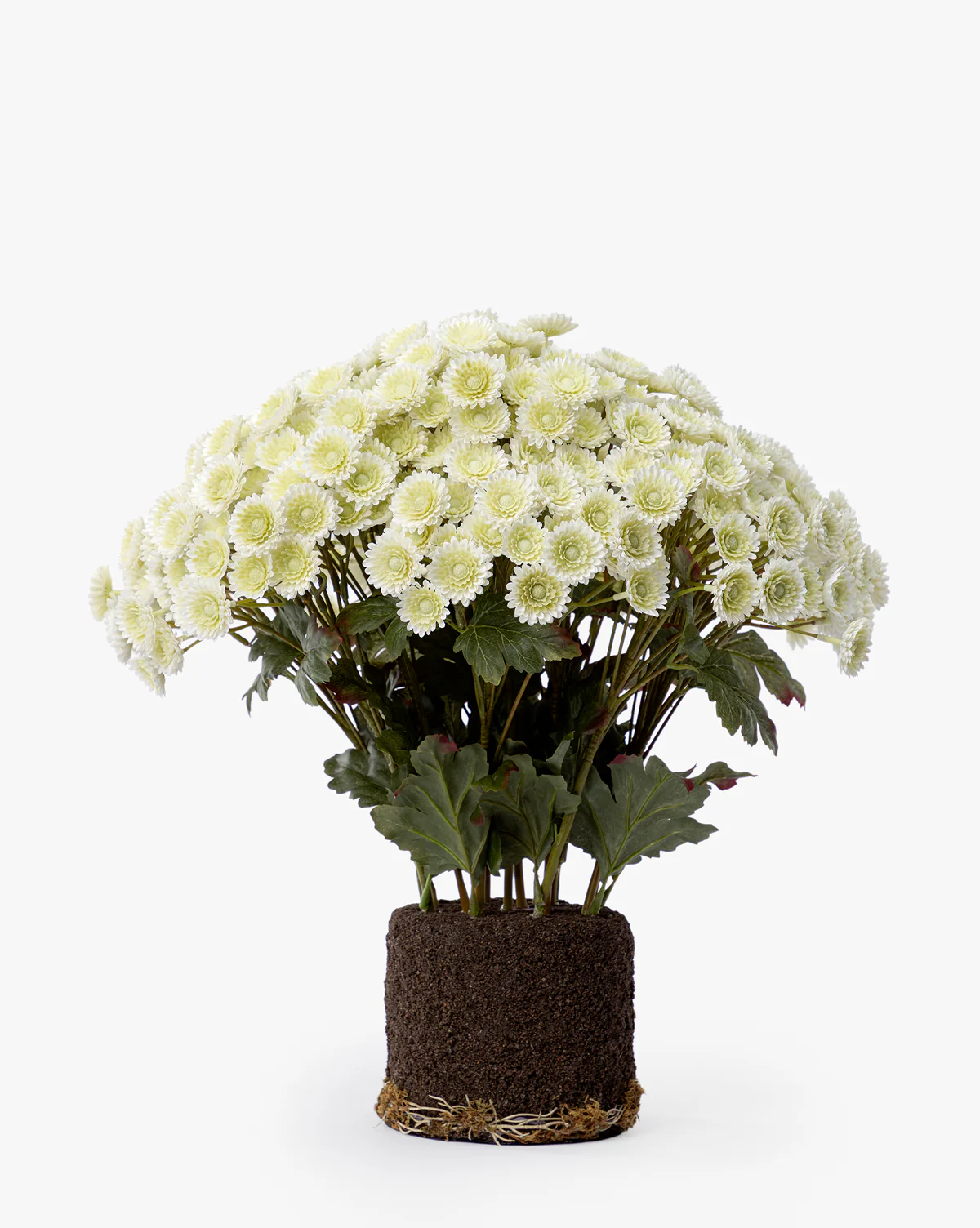 Faux Mum Drop-In - Image 10