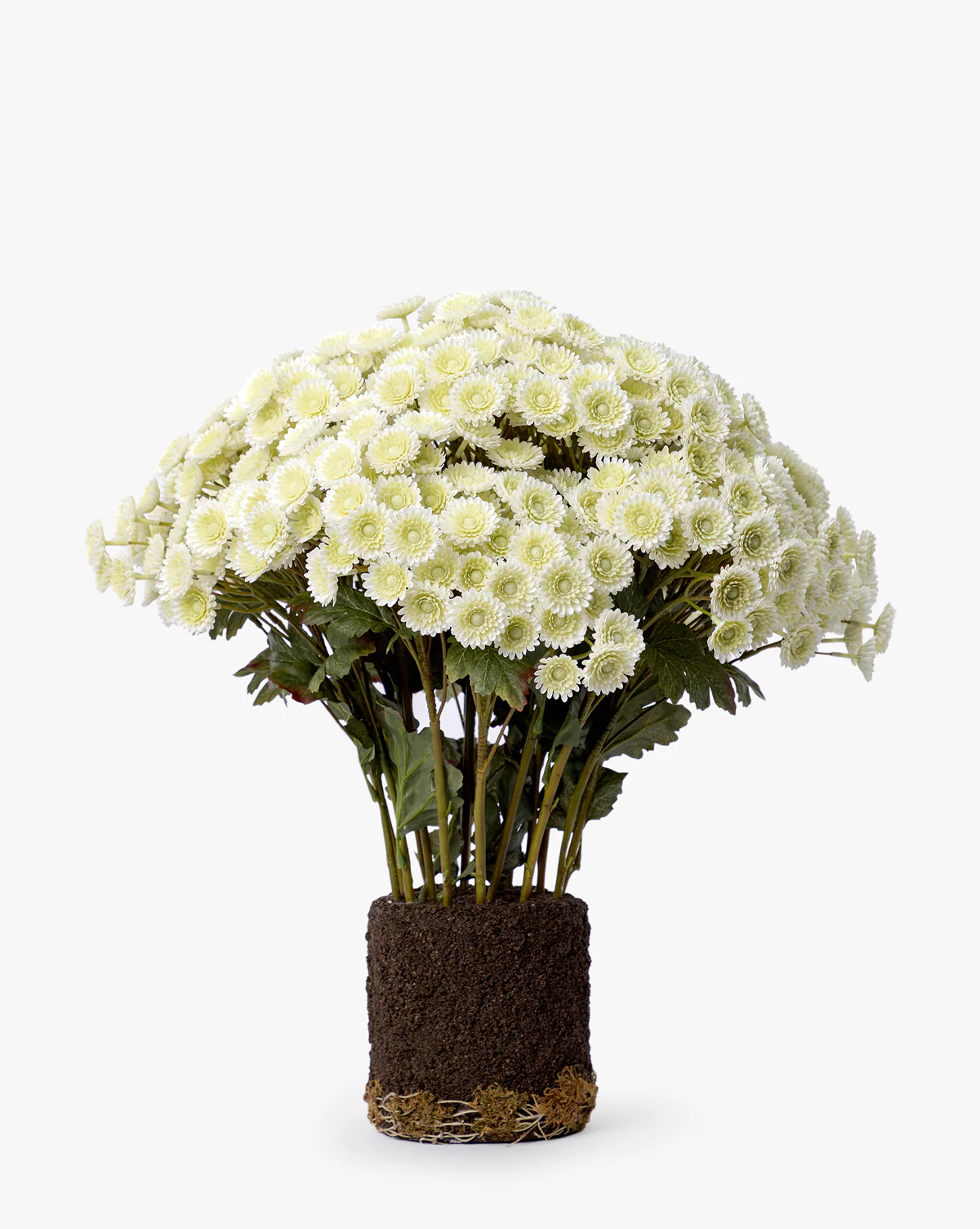 Faux Mum Drop-In - Image 11