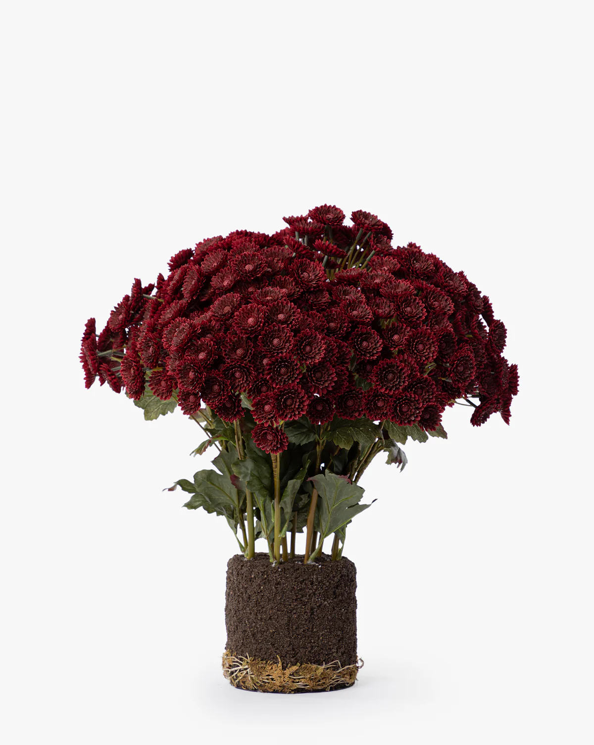 Faux Mum Drop-In - Image 2