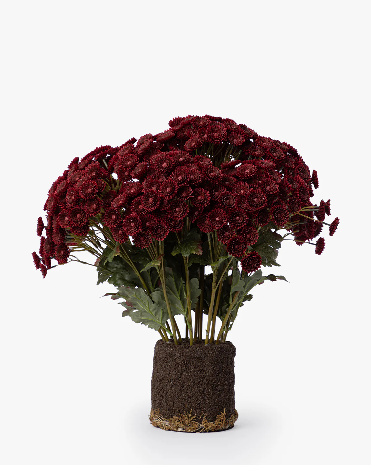 Faux Mum Drop-In - Image 3