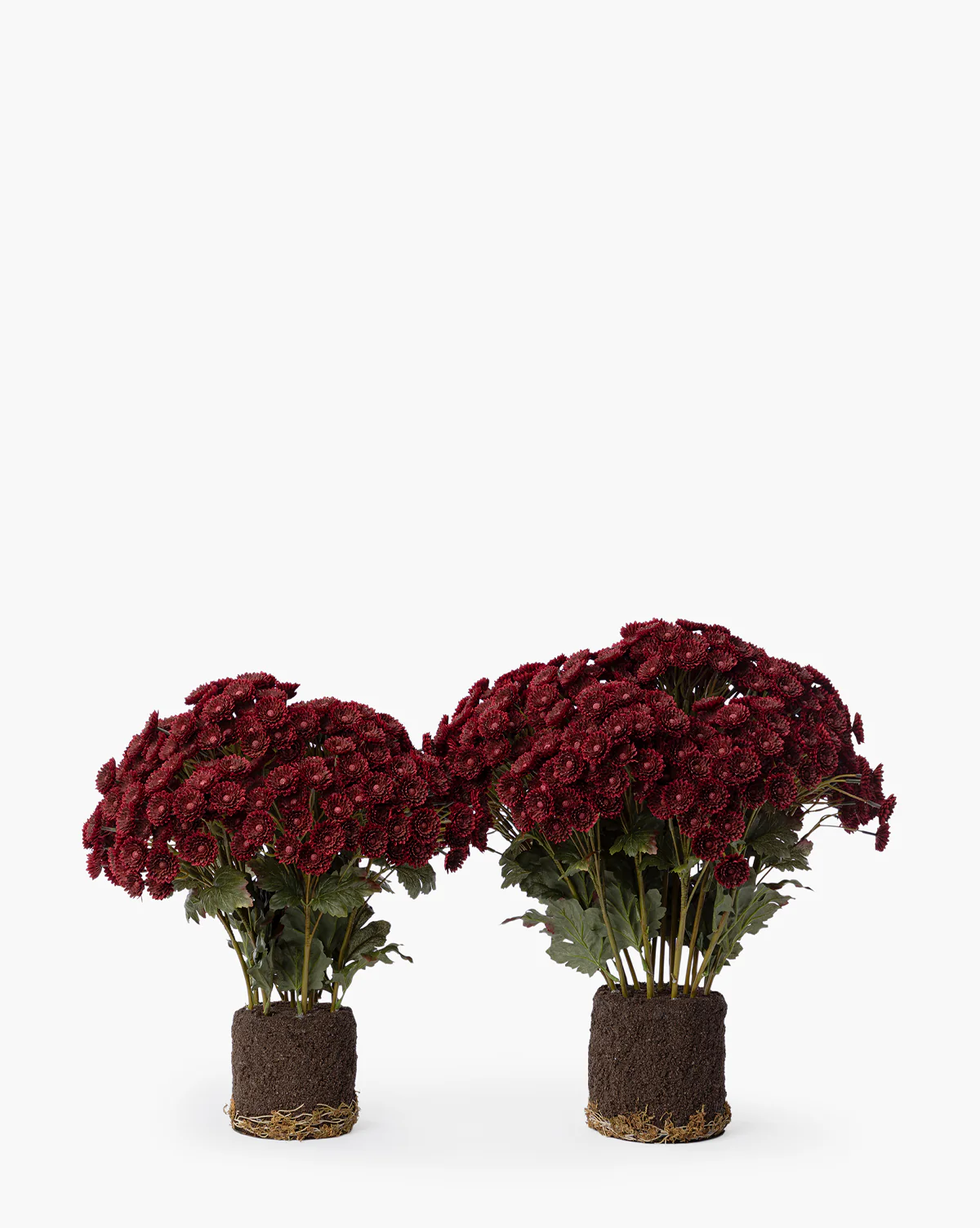 Faux Mum Drop-In - Image 6