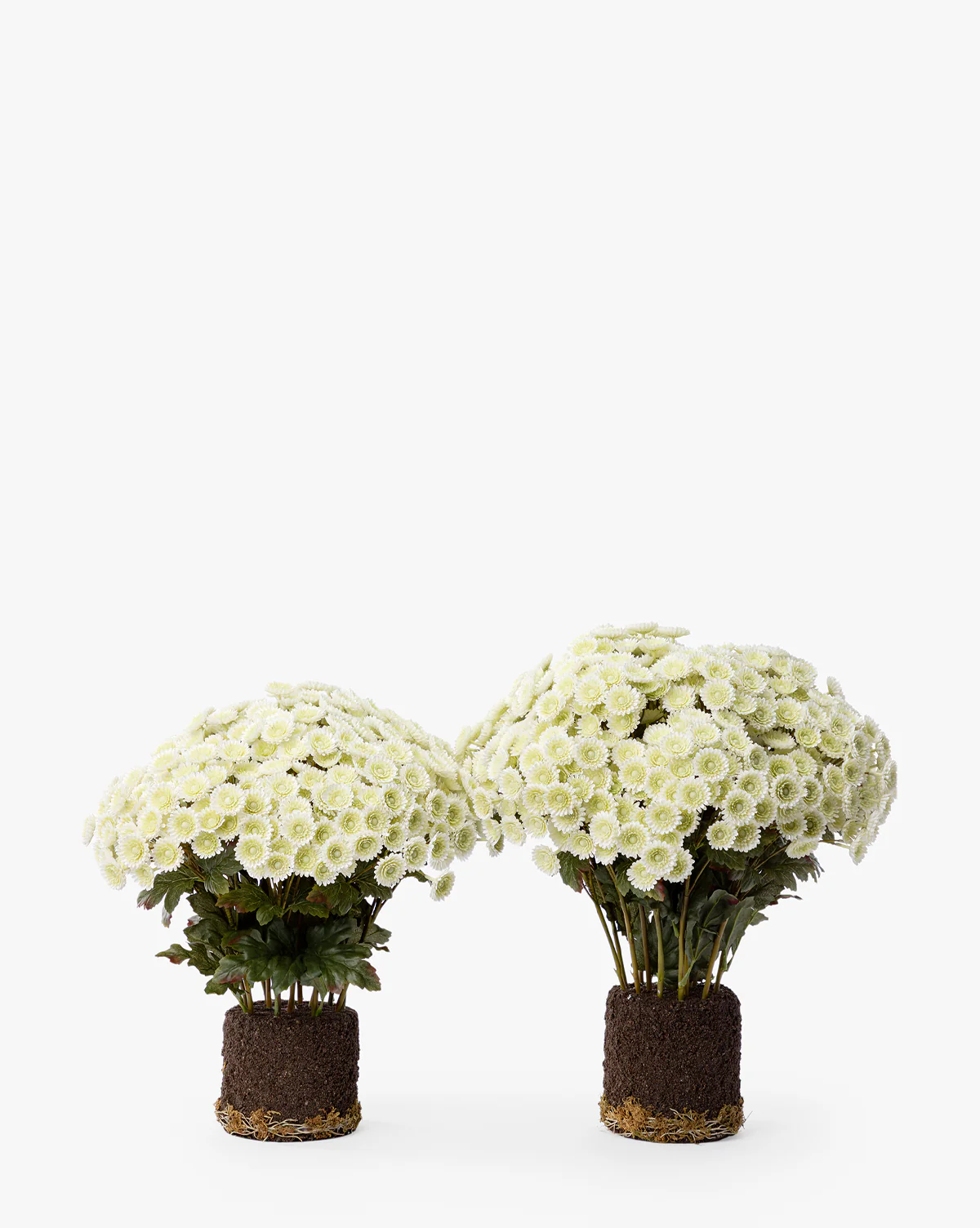 Faux Mum Drop-In - Image 7