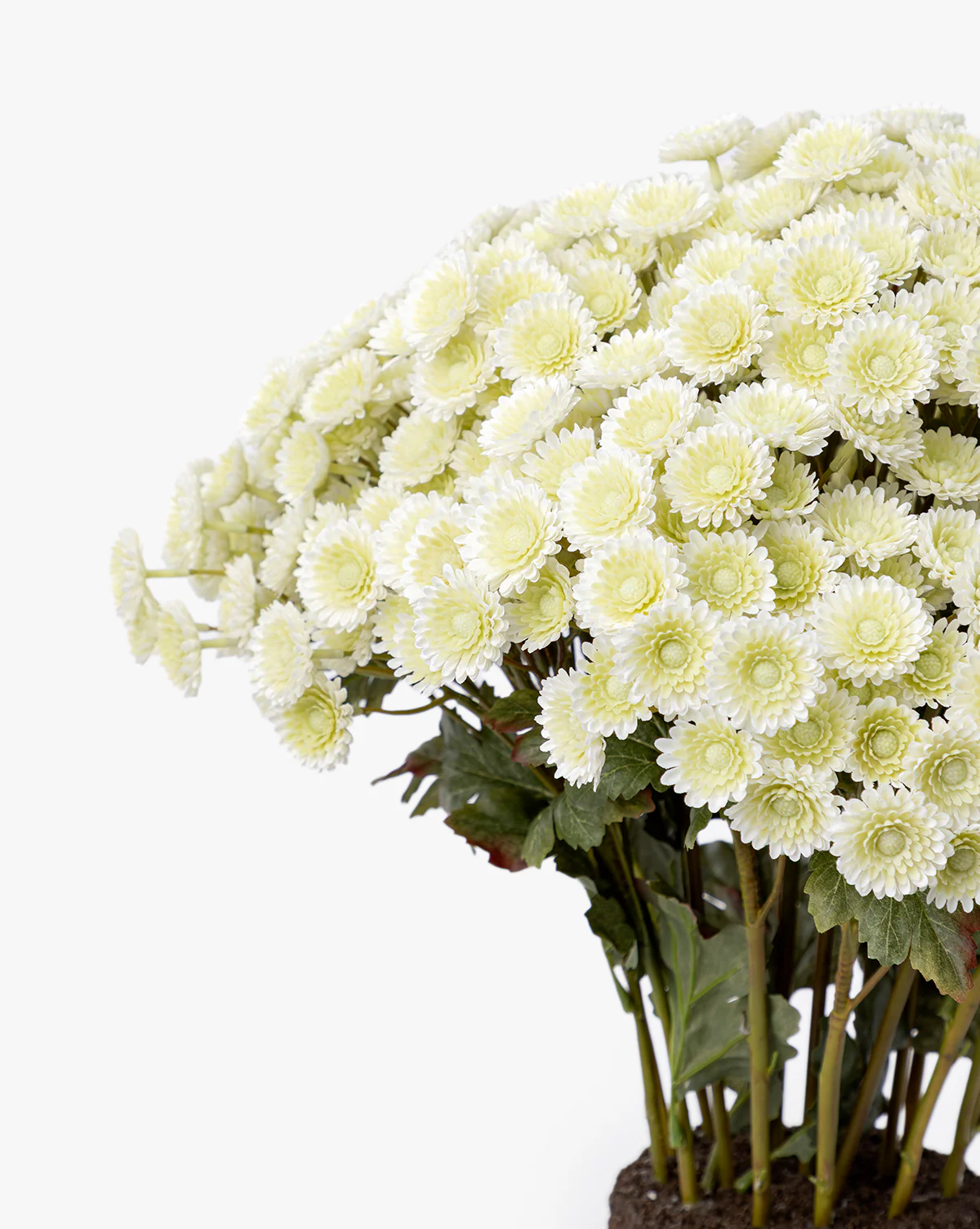 Faux Mum Drop-In - Image 8