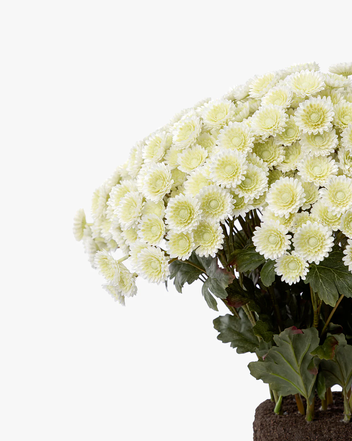 Faux Mum Drop-In - Image 9
