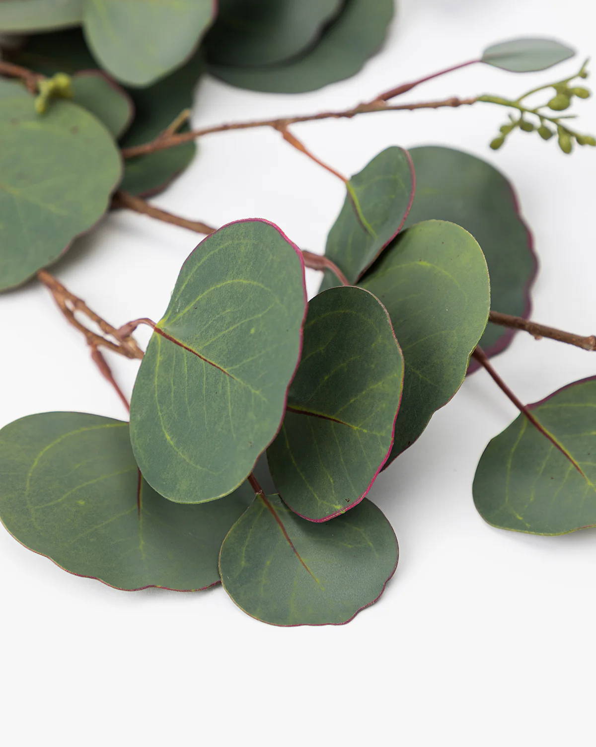 Faux Seeded Dollar Eucalyptus Stem - Image 2