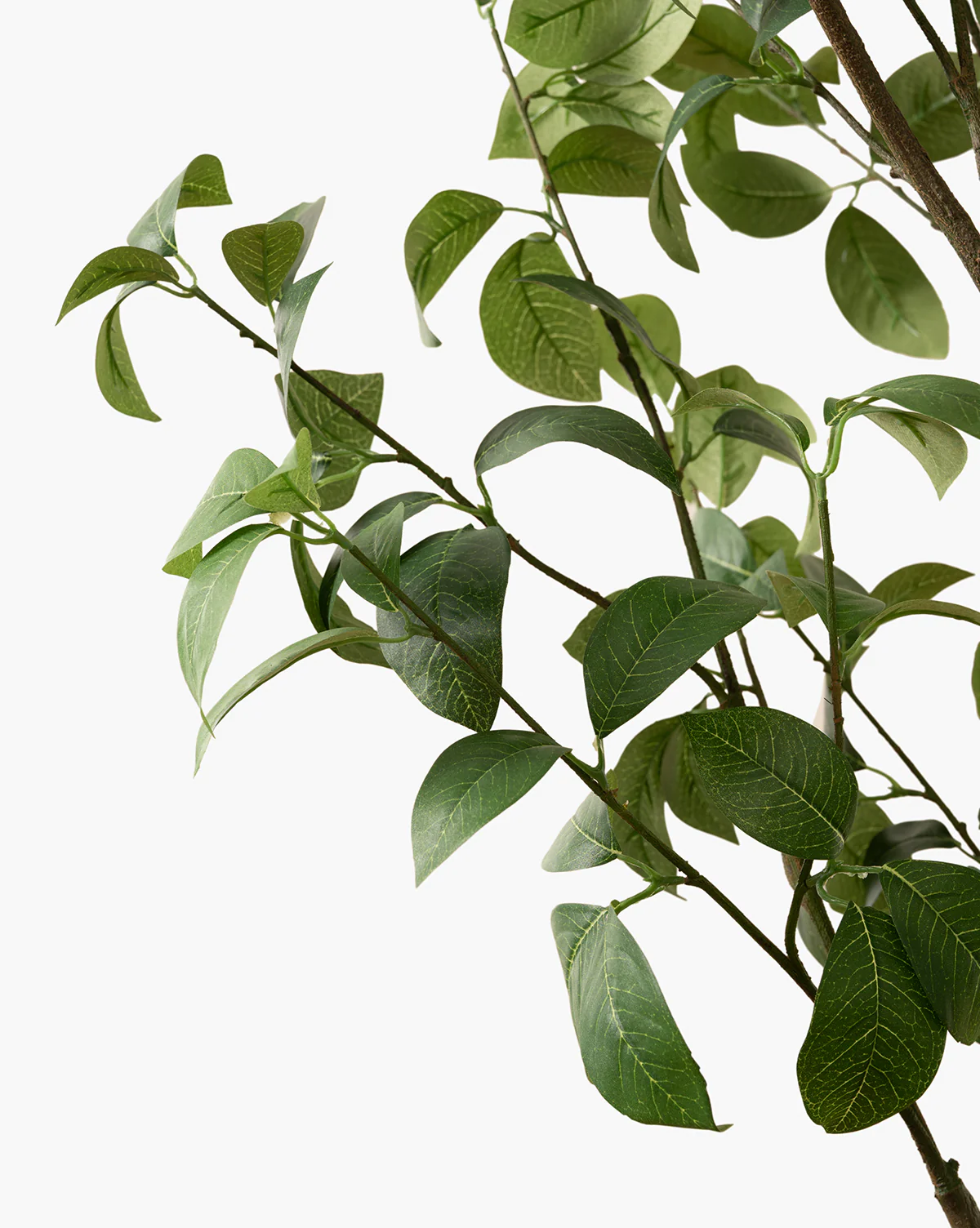Faux Tangerine Tree - Image 2