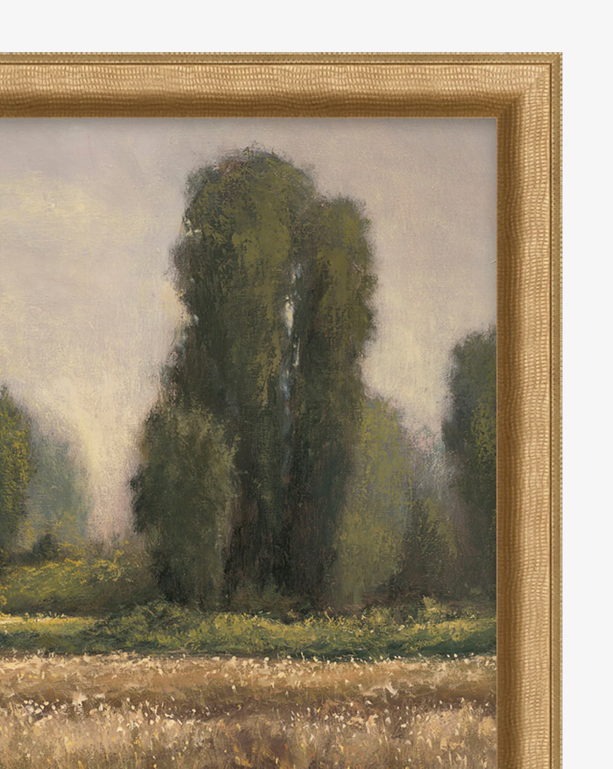 Field in Summer - Image 2