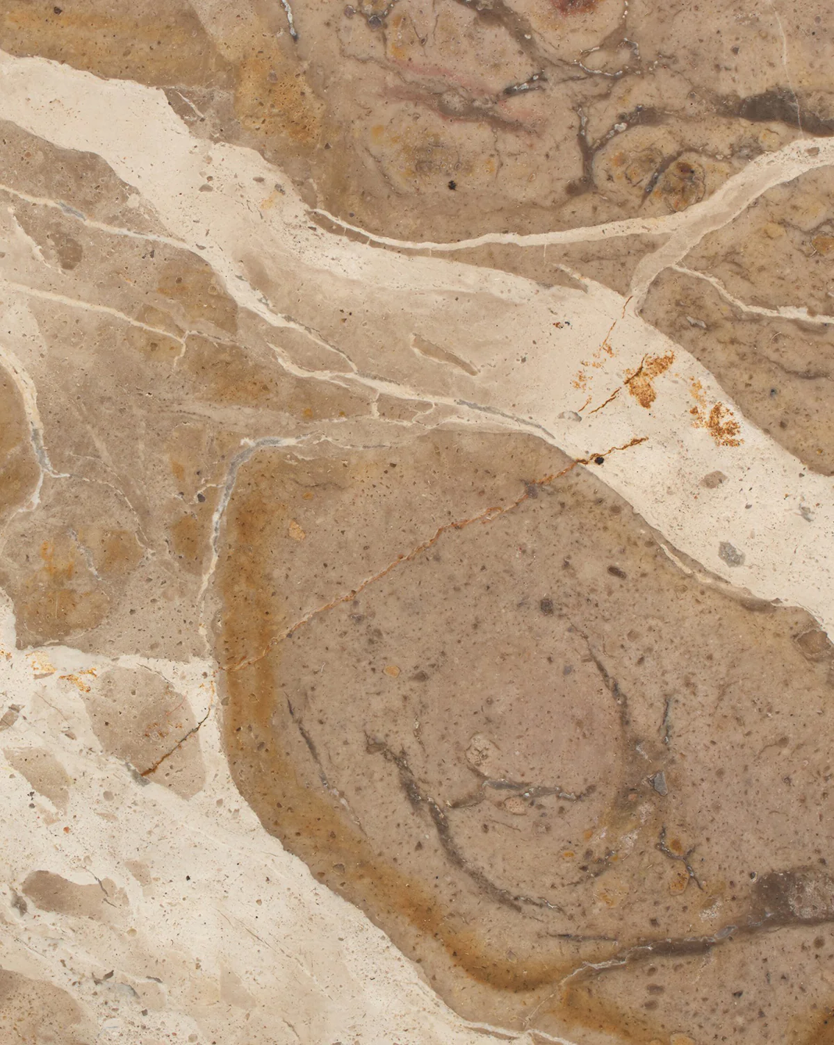 Fossil Marble End Table - Image 7