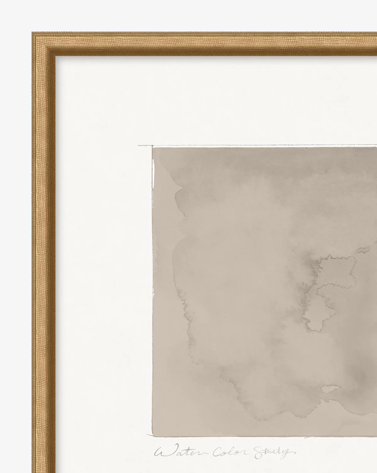 Fossil Study - Image 3