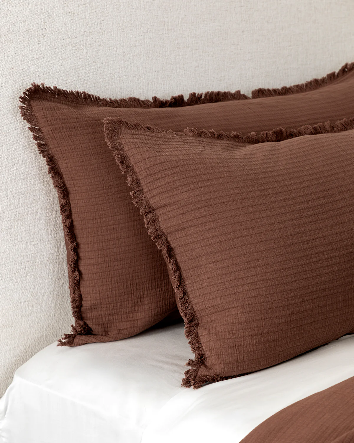 Hendricks Chocolate Cotton Shams (Set of 2) - Image 6