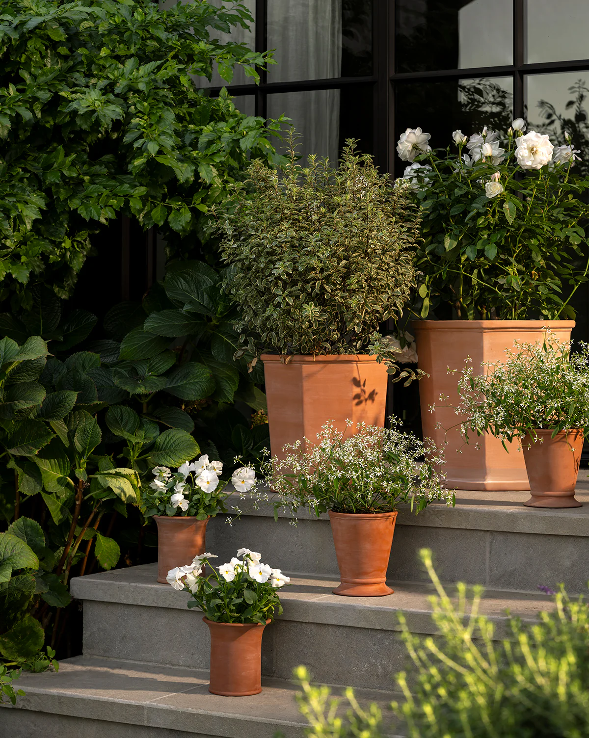 Lorenzo Terracotta Pot - Image 4