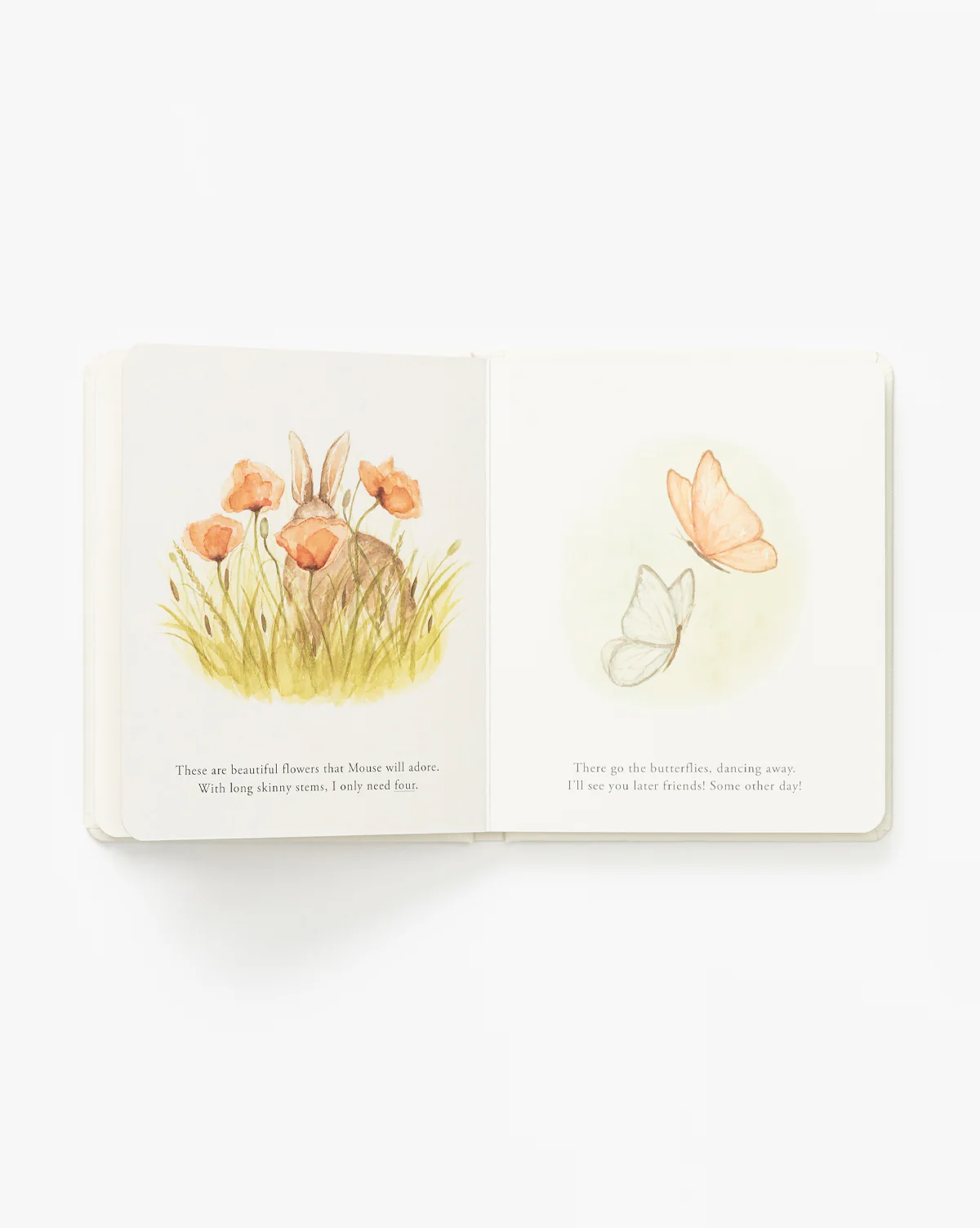 Our Little Adventures - Image 6