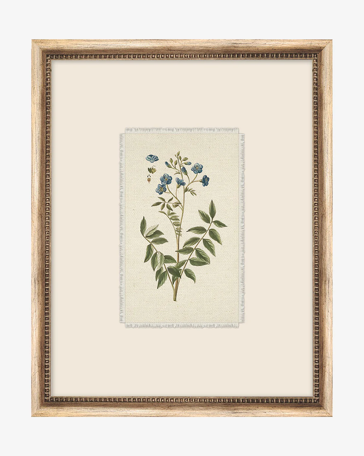 Petite Floral IV