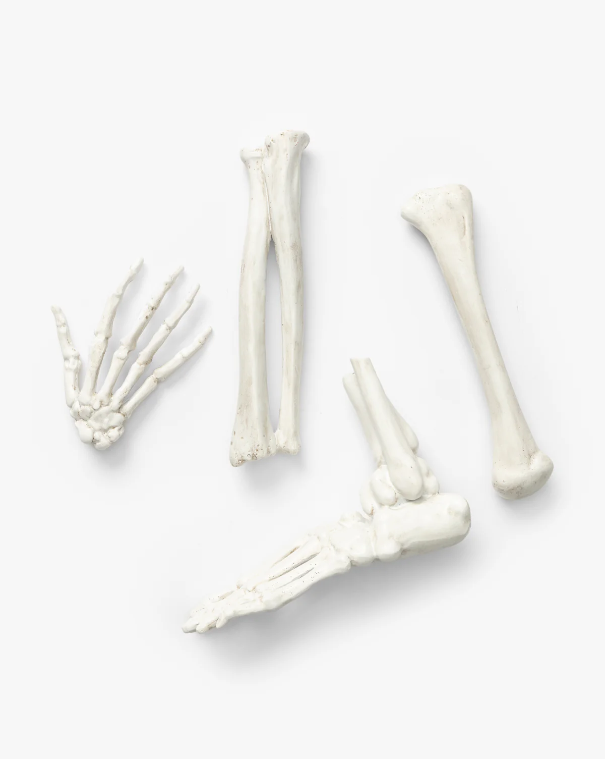 Resin Skeleton Bones in Drawstring Bag  (Set of 4) - Image 2