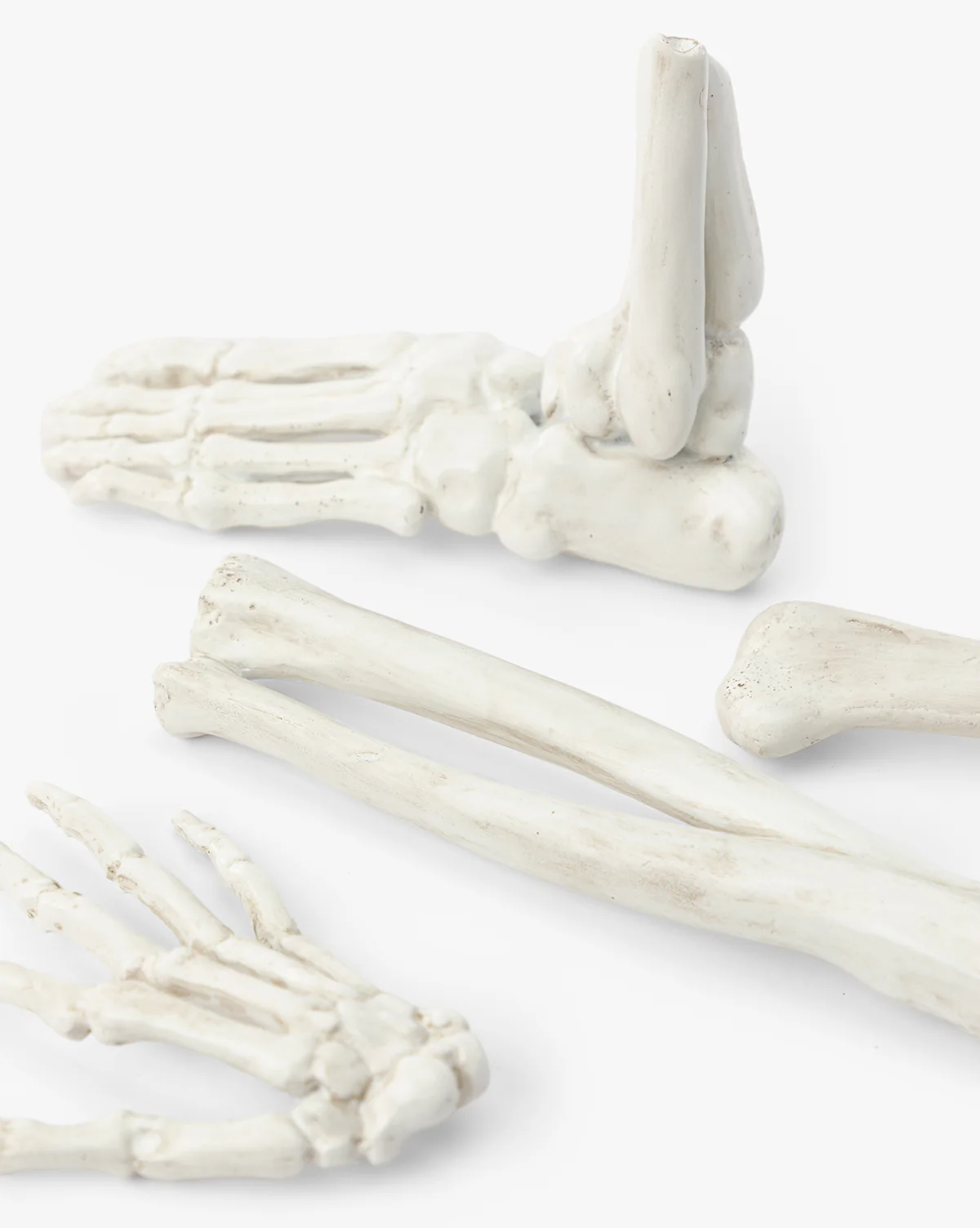 Resin Skeleton Bones in Drawstring Bag  (Set of 4) - Image 3