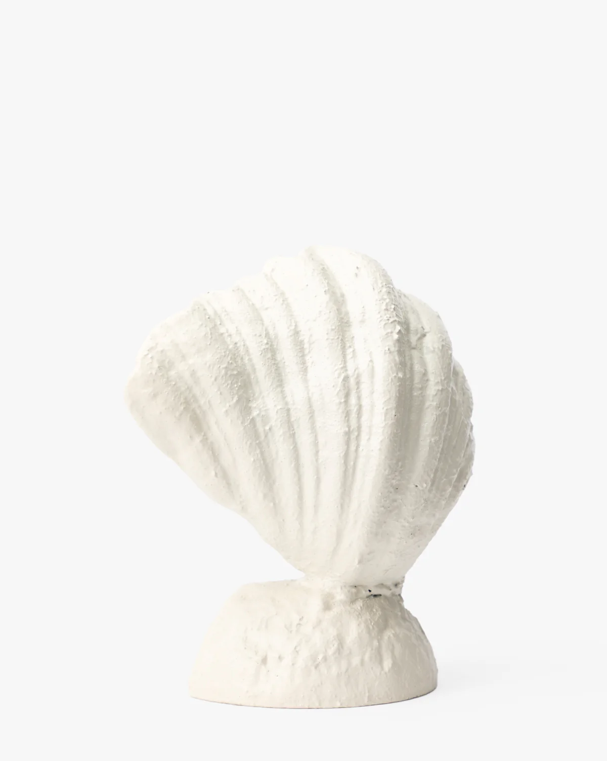Shell Bookends (Set of 2) - Image 3