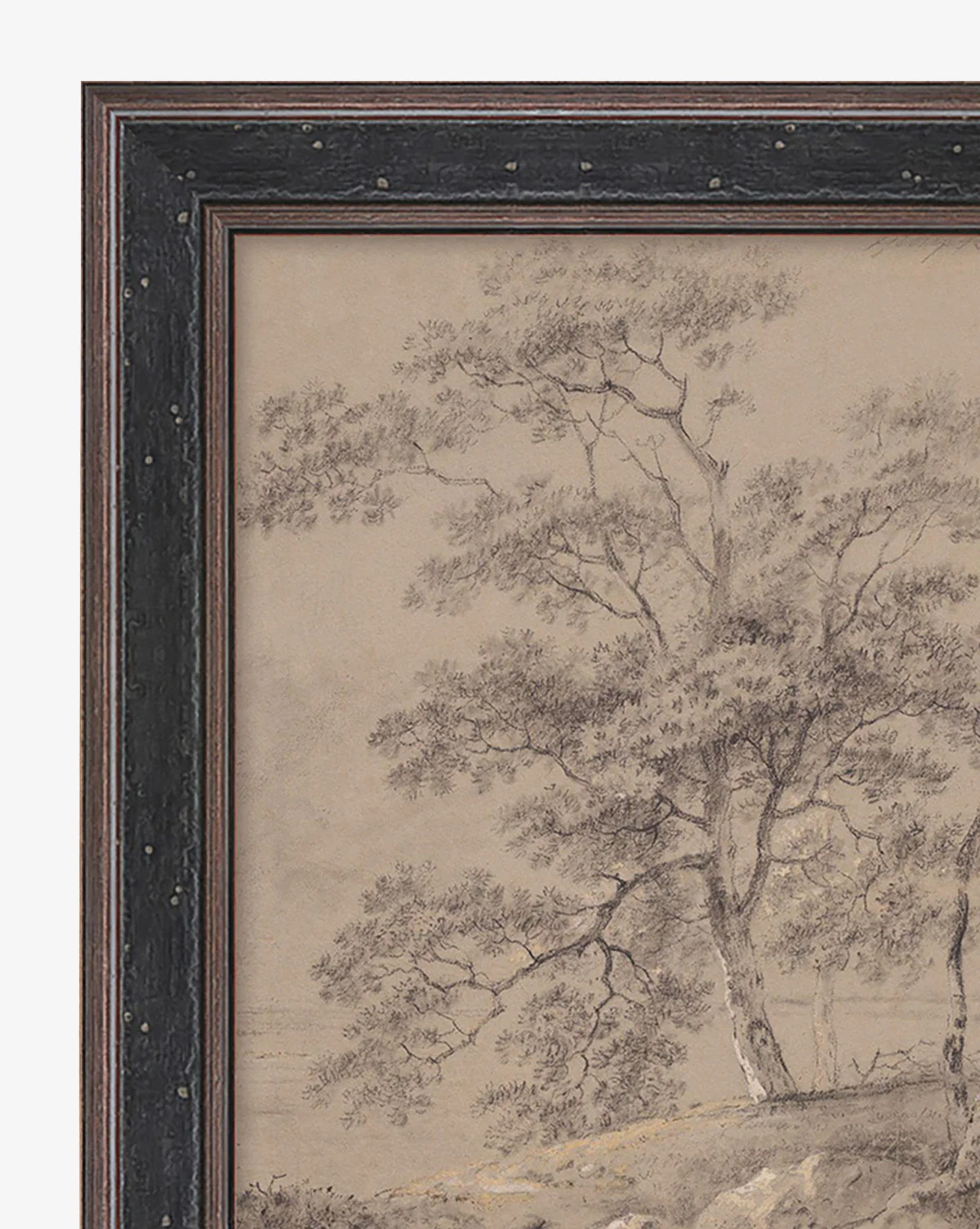 Taupe Forest - Image 2