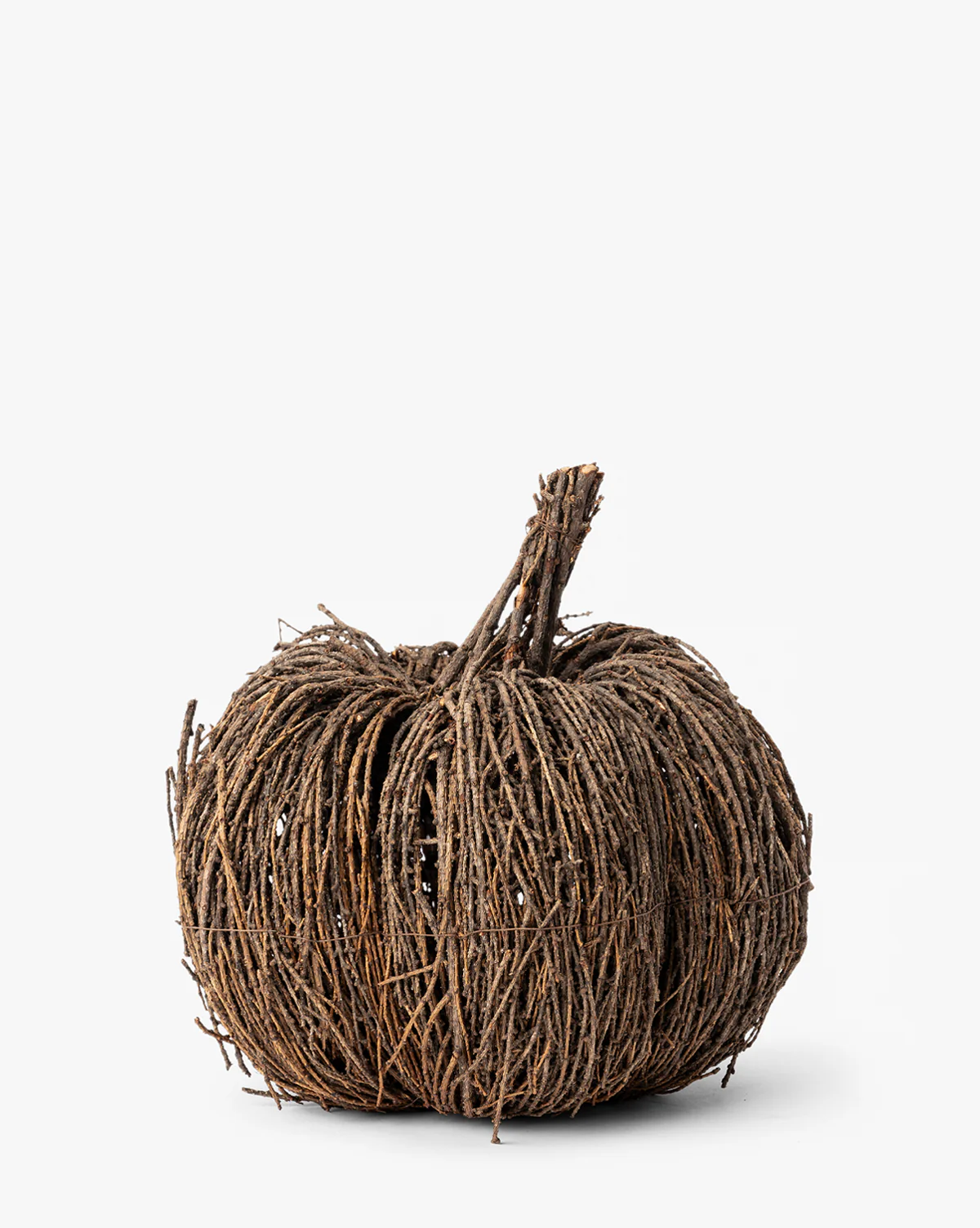 Vine Pumpkin - Image 3