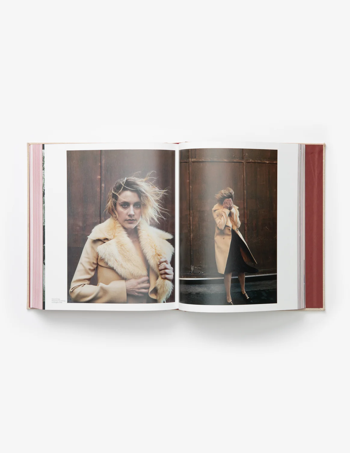 Wonderland - Image 3